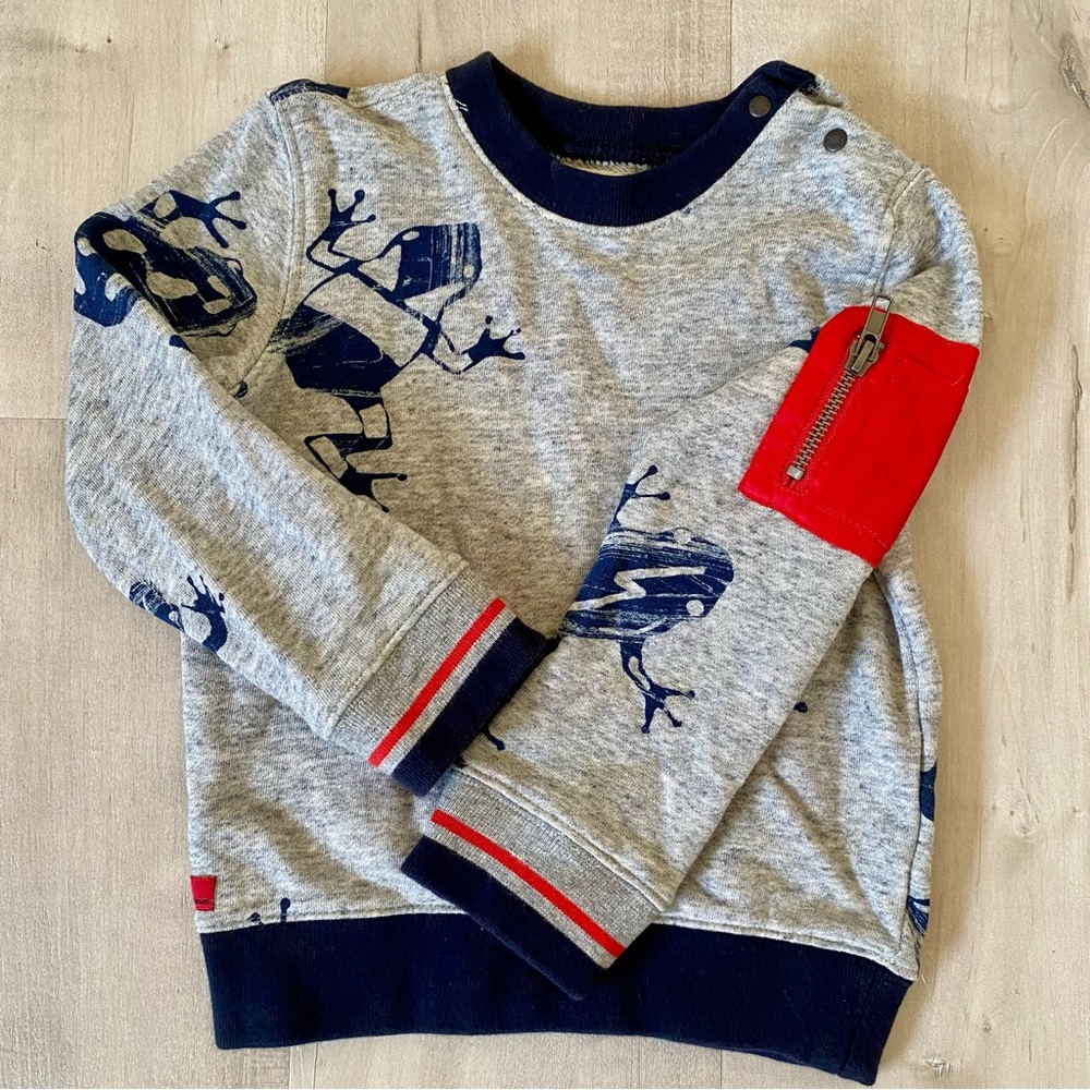 Catimini Gray and Blue Frog Print Sweatshirt